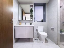 The Visionaire (D27), Condominium #587554981